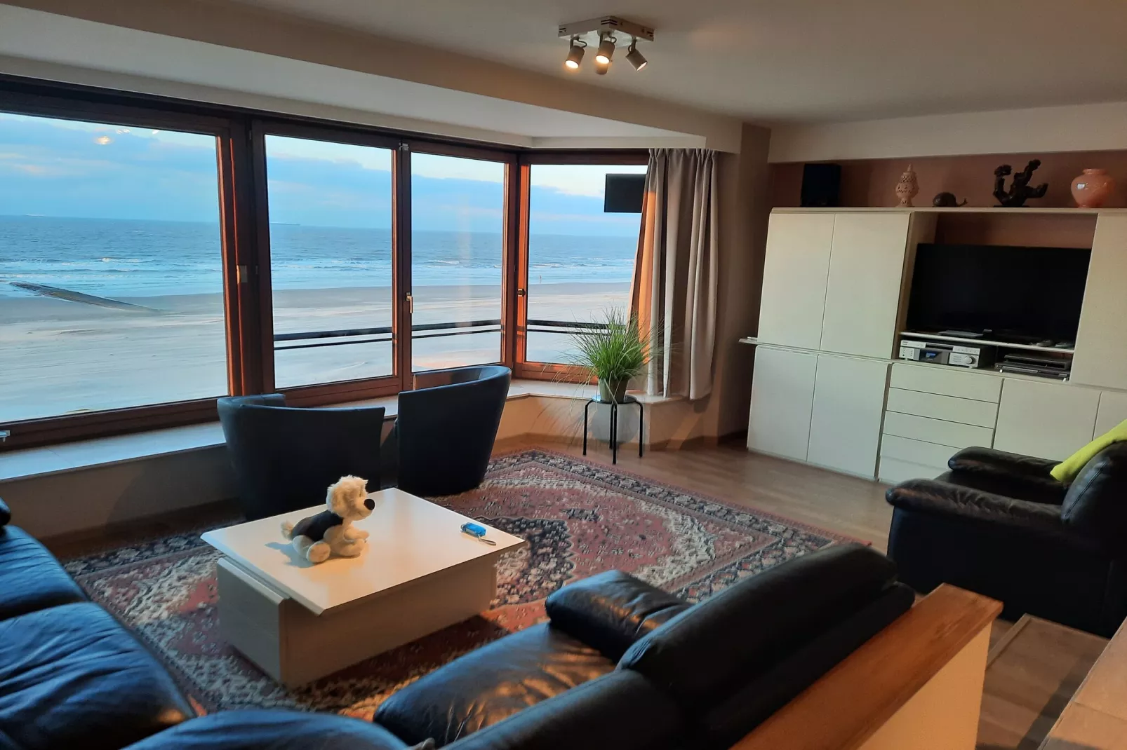SEASIGHT - 31 - 10118323