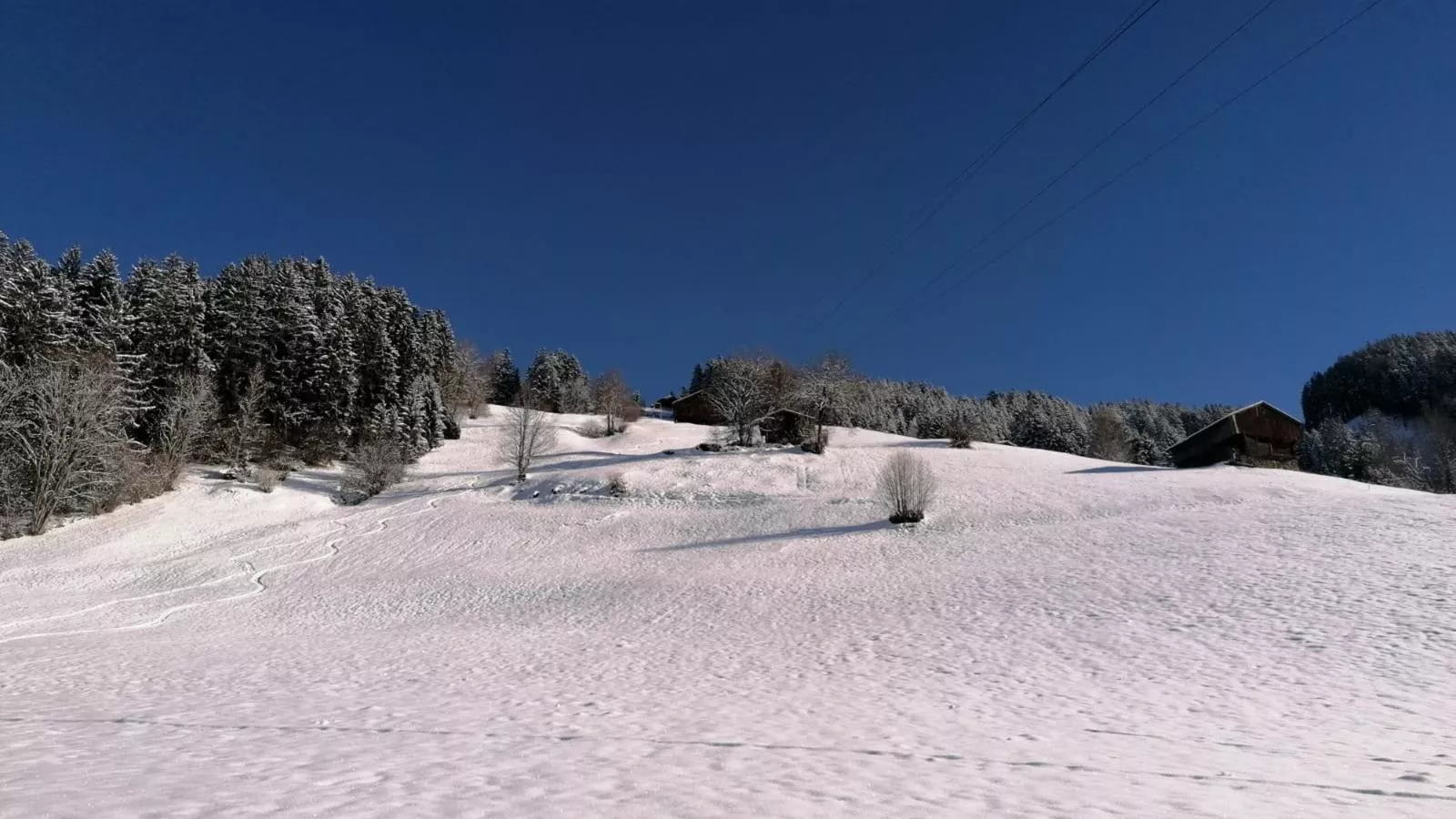 Apartment Hollaus-Area winter 1km