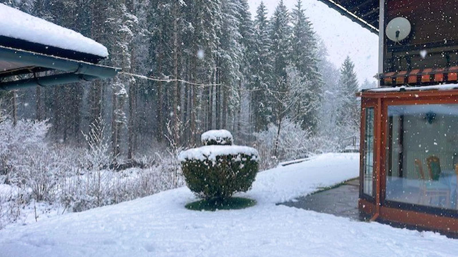 Landhaus am Waldrand-Garden winter