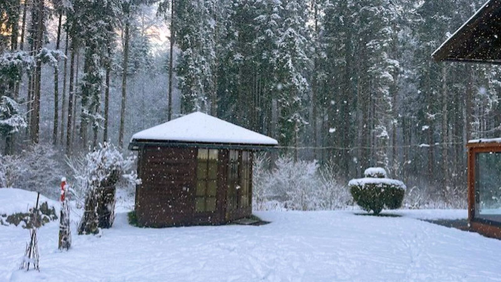 Landhaus am Waldrand-Garden winter