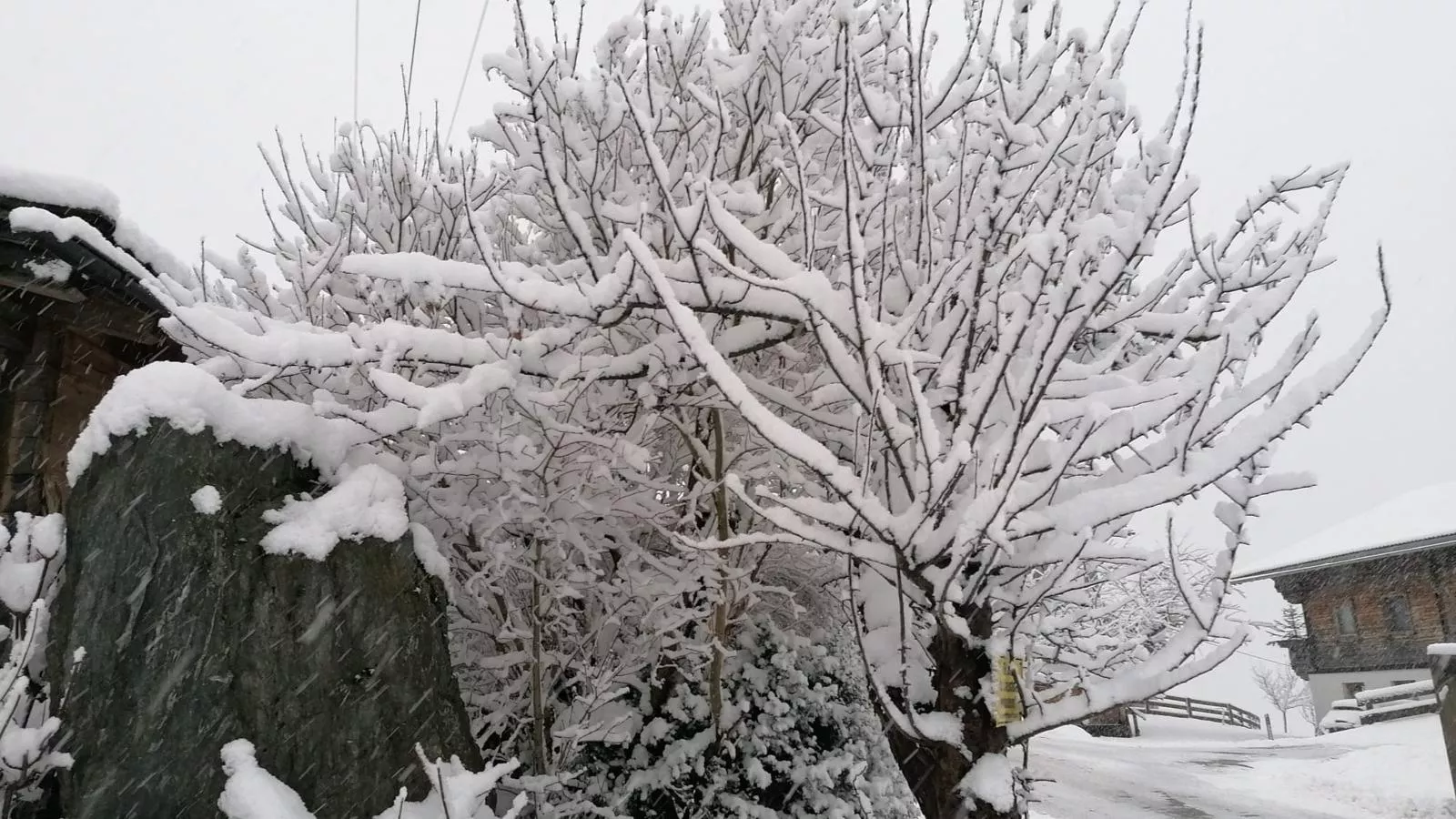 Apartment Hollaus-Garden winter