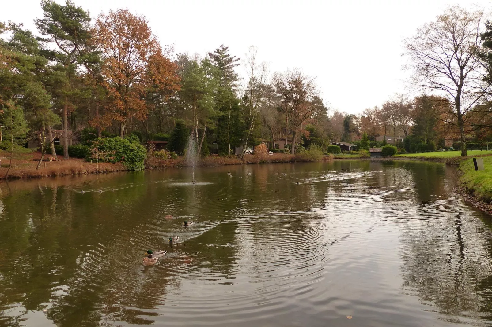 Parc de Kievit 6-Areas summer 1km