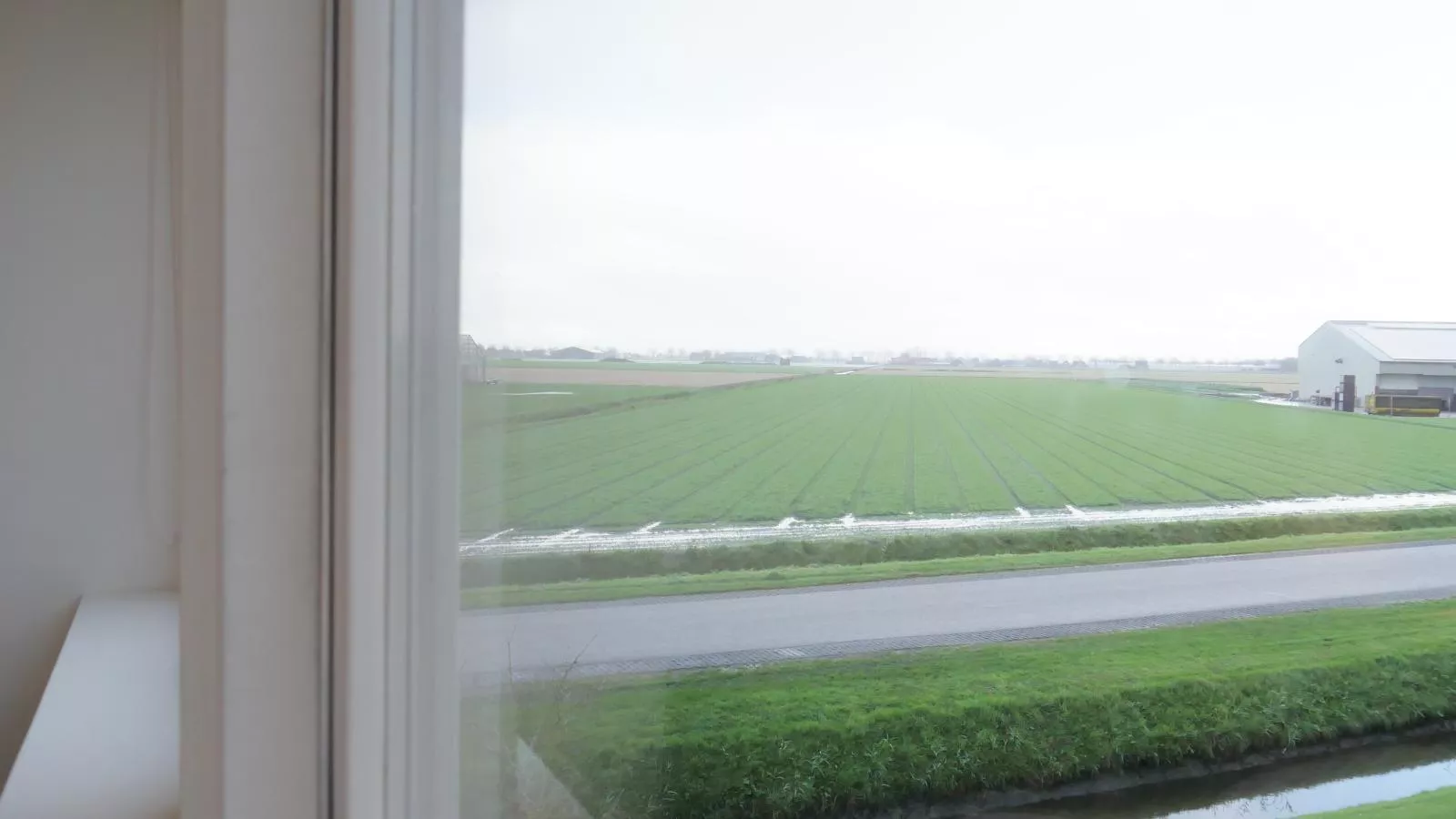 Bollenzicht-Aussicht Sommer