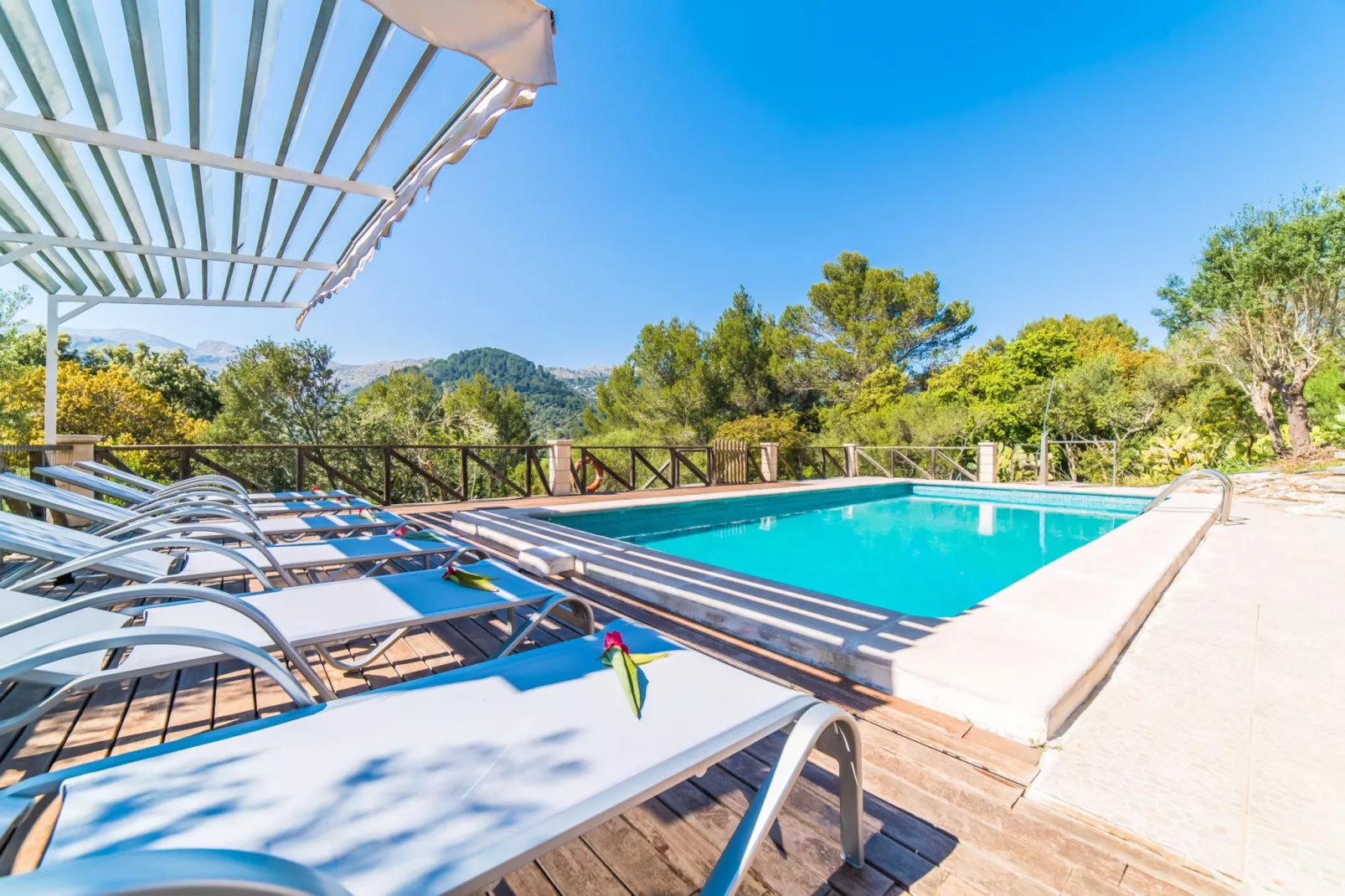 Caselles Petit-Pool