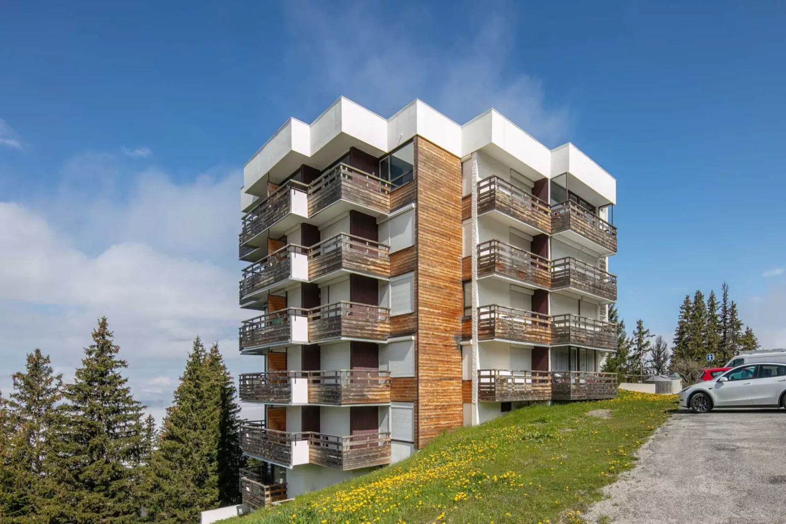 CYTISES N°305 - 2P4-Outdoor