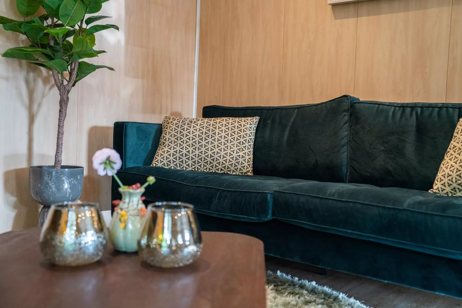 Vakantiepark Latour 3-Living room