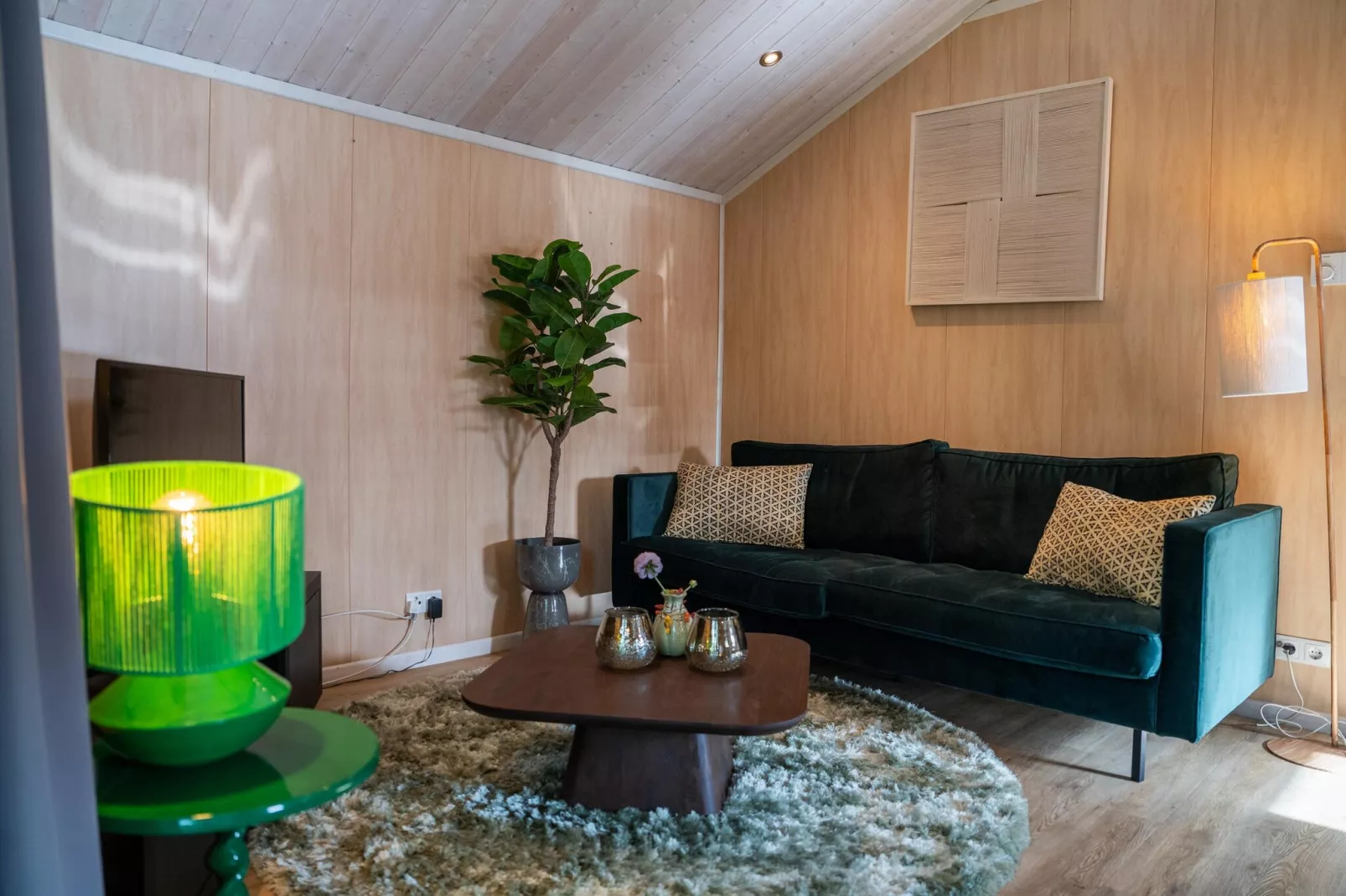Vakantiepark Latour 3-Living room