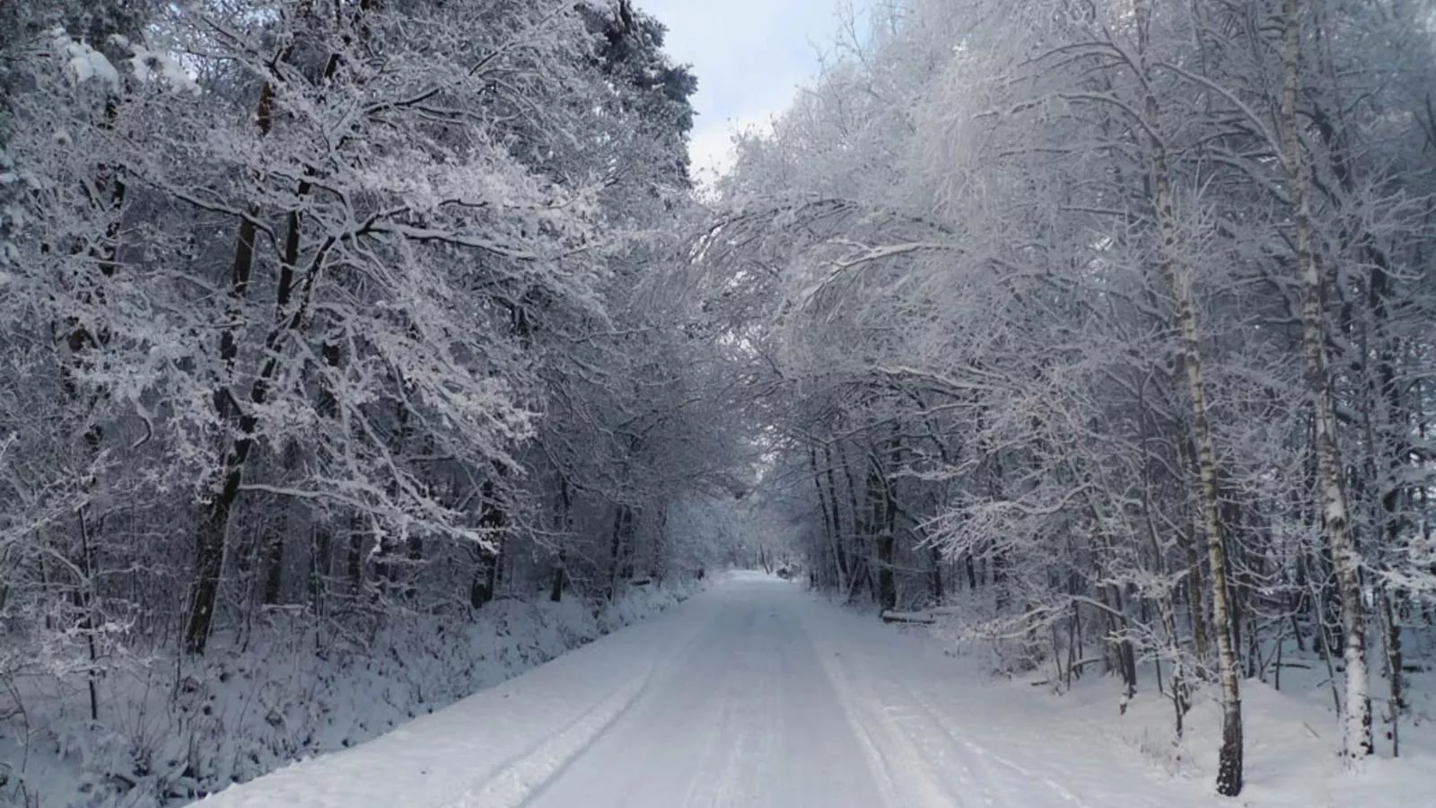 Design Lodge Twente-Area winter 1km