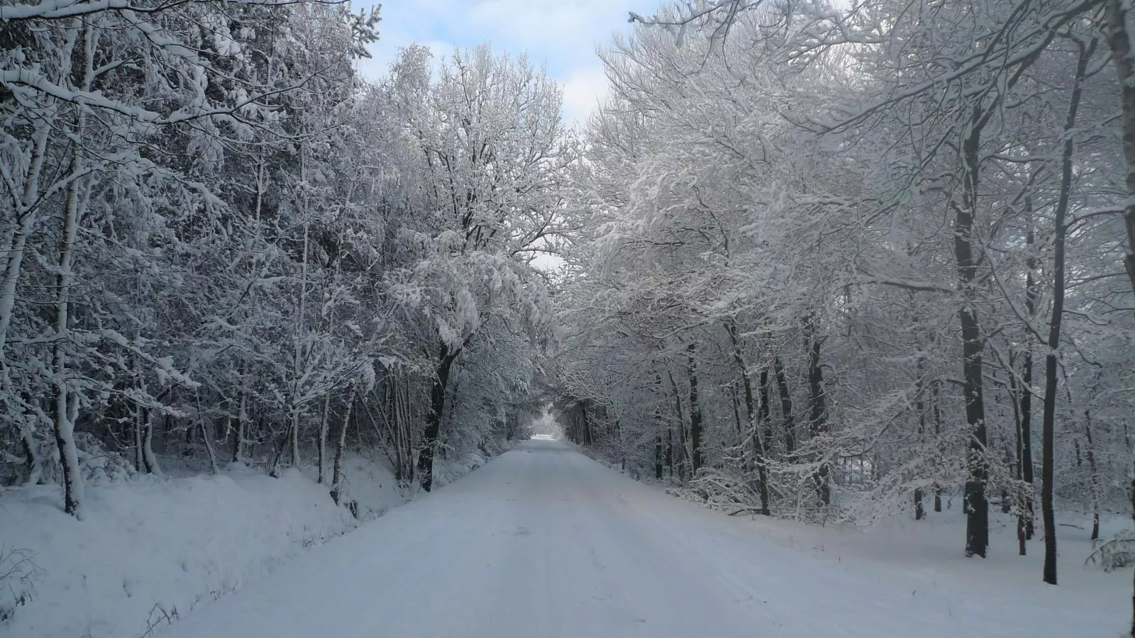 Design Lodge Twente-Area winter 1km