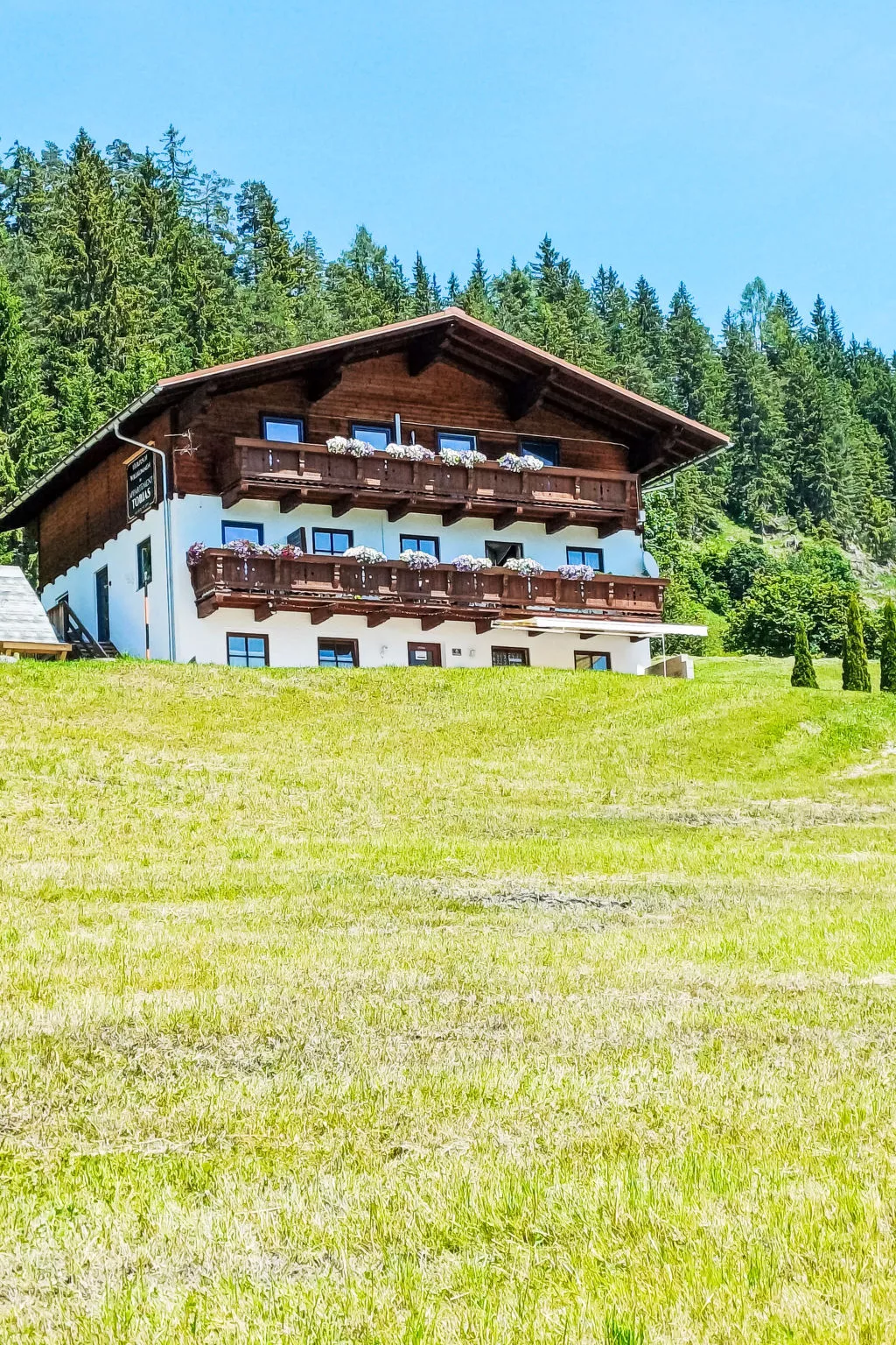 Tobias 1 - 10063684