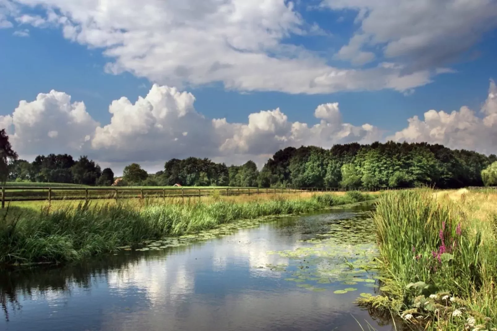 Vakantiecentrum 't Schuttenbelt 1-Areas summer 5km