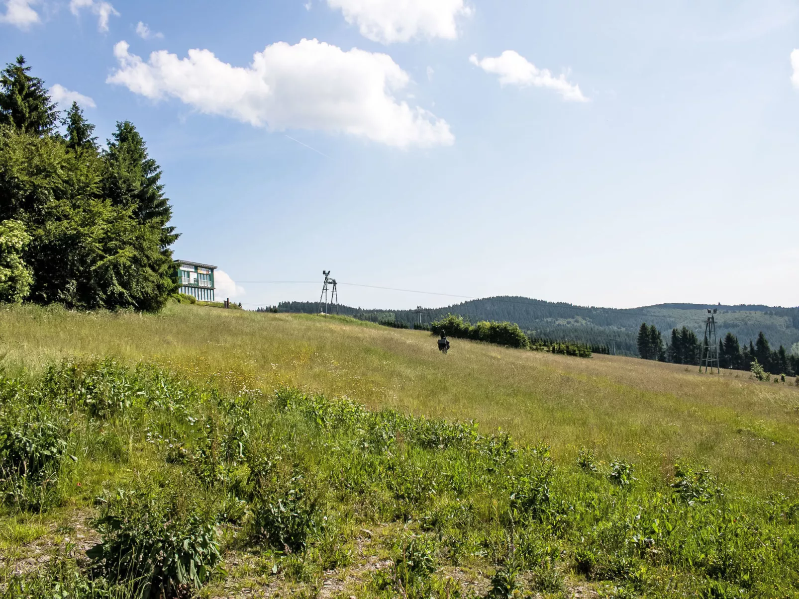 Blick ins Grüne-Outside