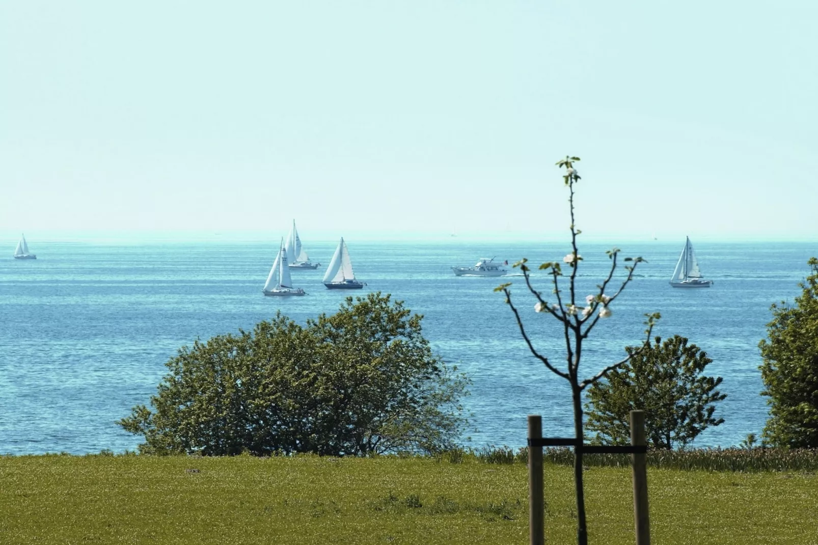Bospark Markelo 5-Areas summer 5km