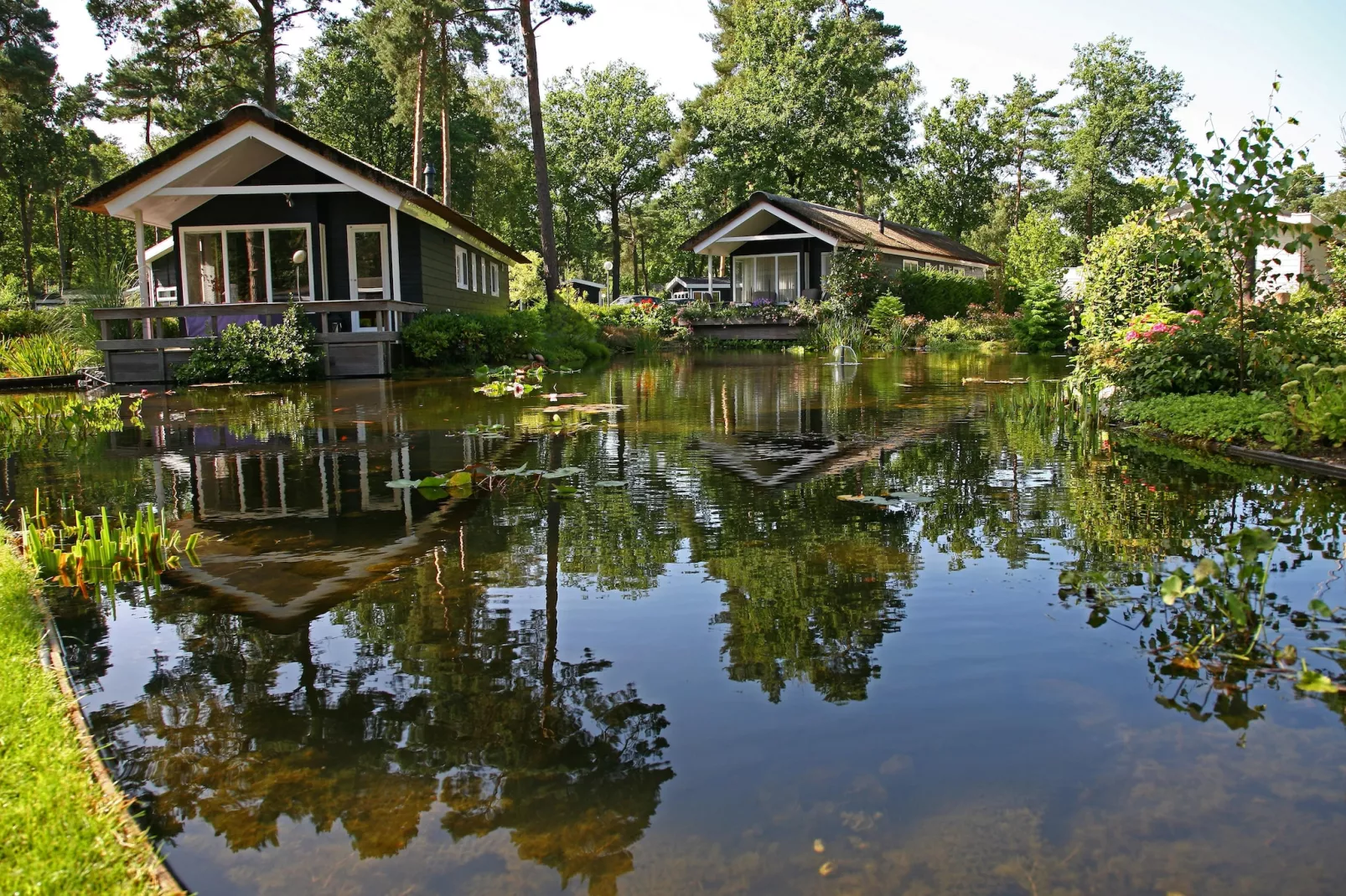 Bospark Markelo 6-Exterior summer