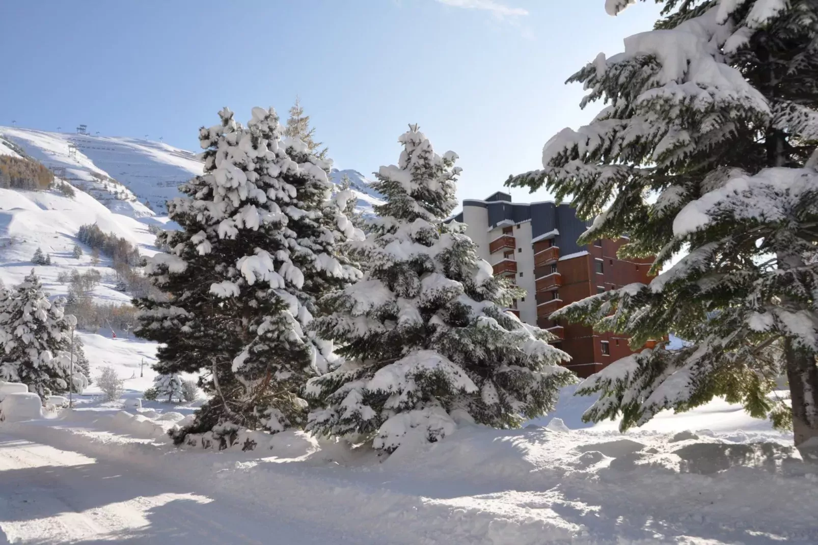 Edelweiss N°2 - 2P4-Outdoor