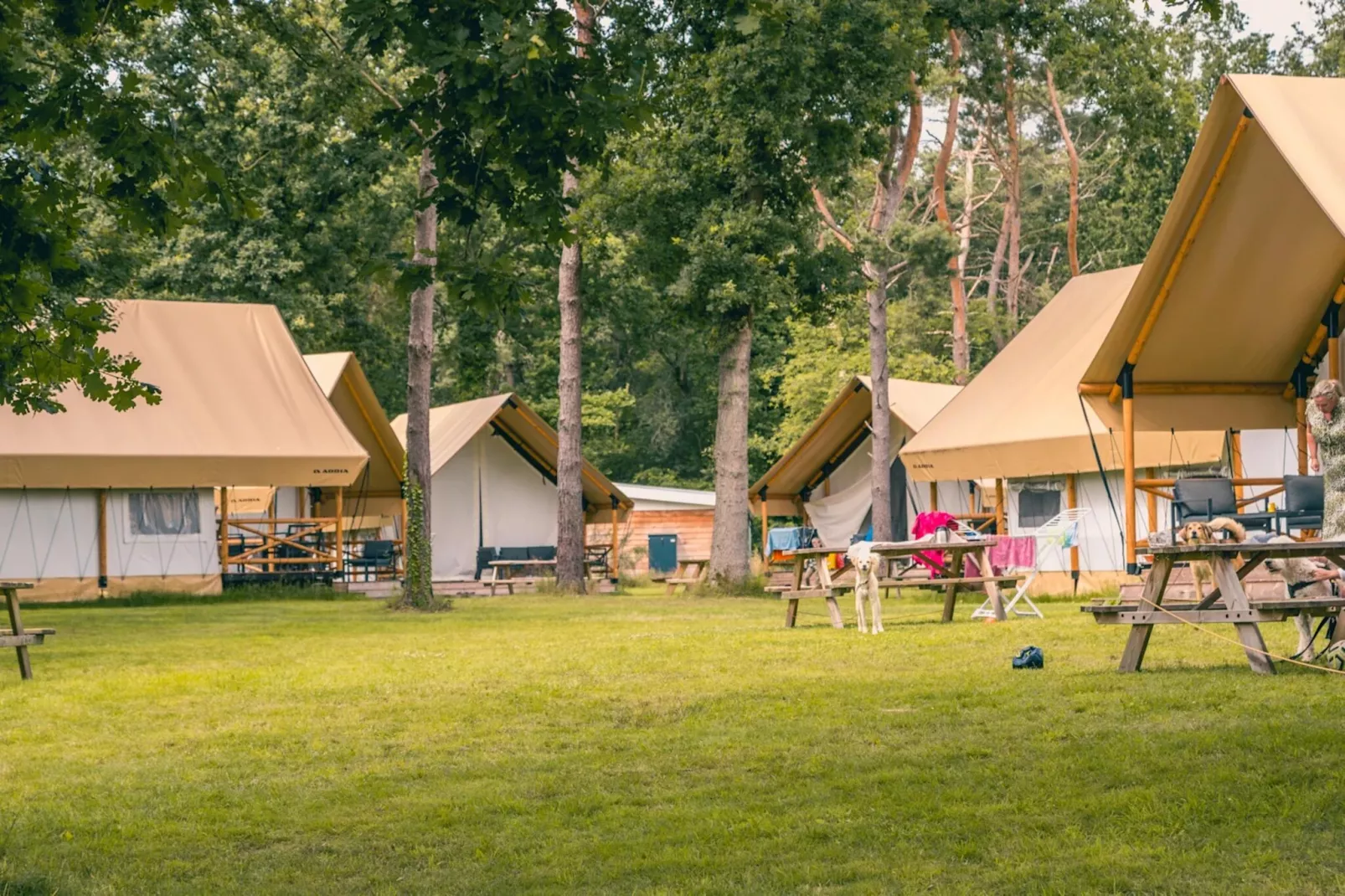 Resort Reestervallei 4-Park facilities