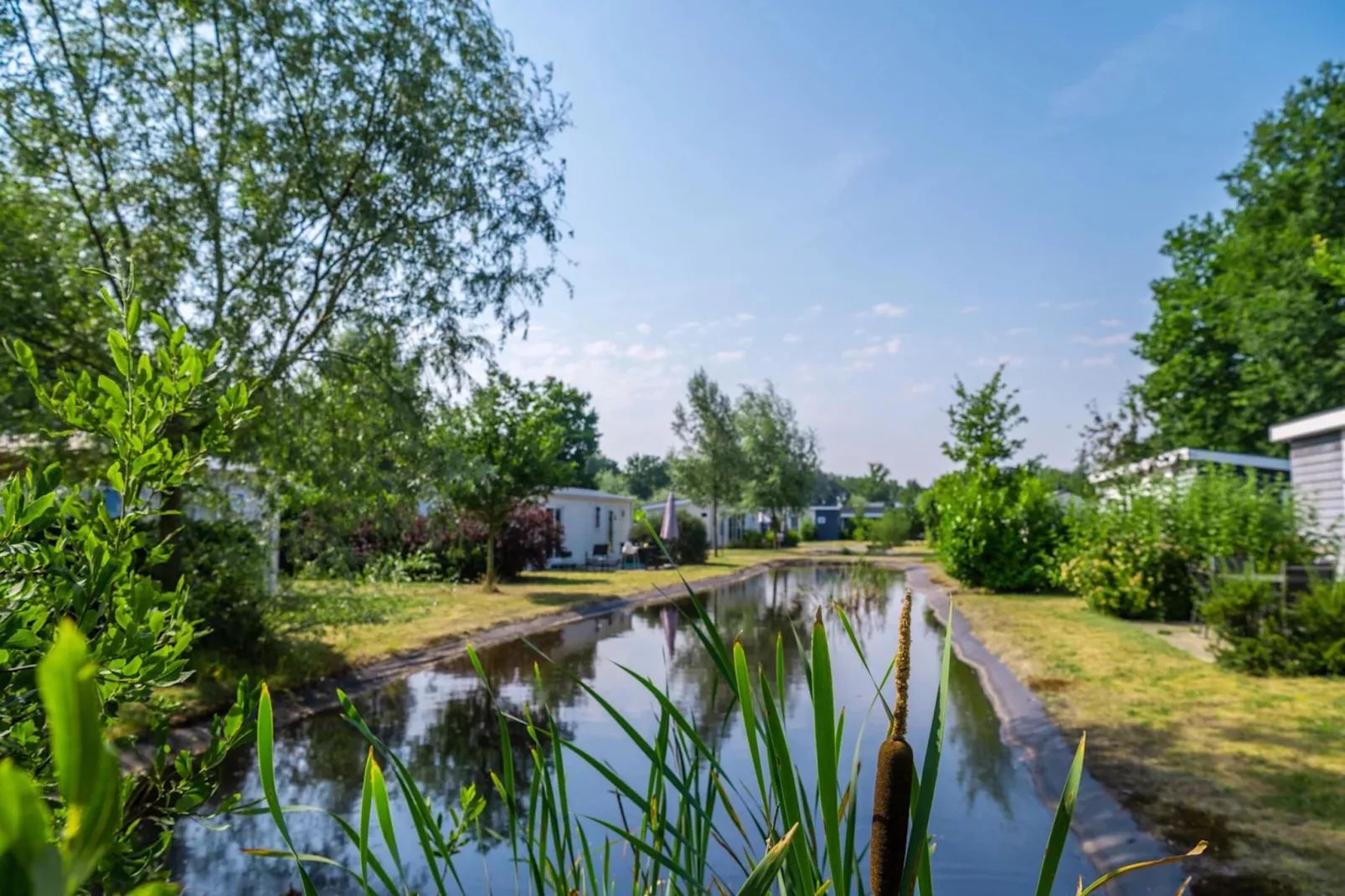 Resort Reestervallei 2-Park facilities