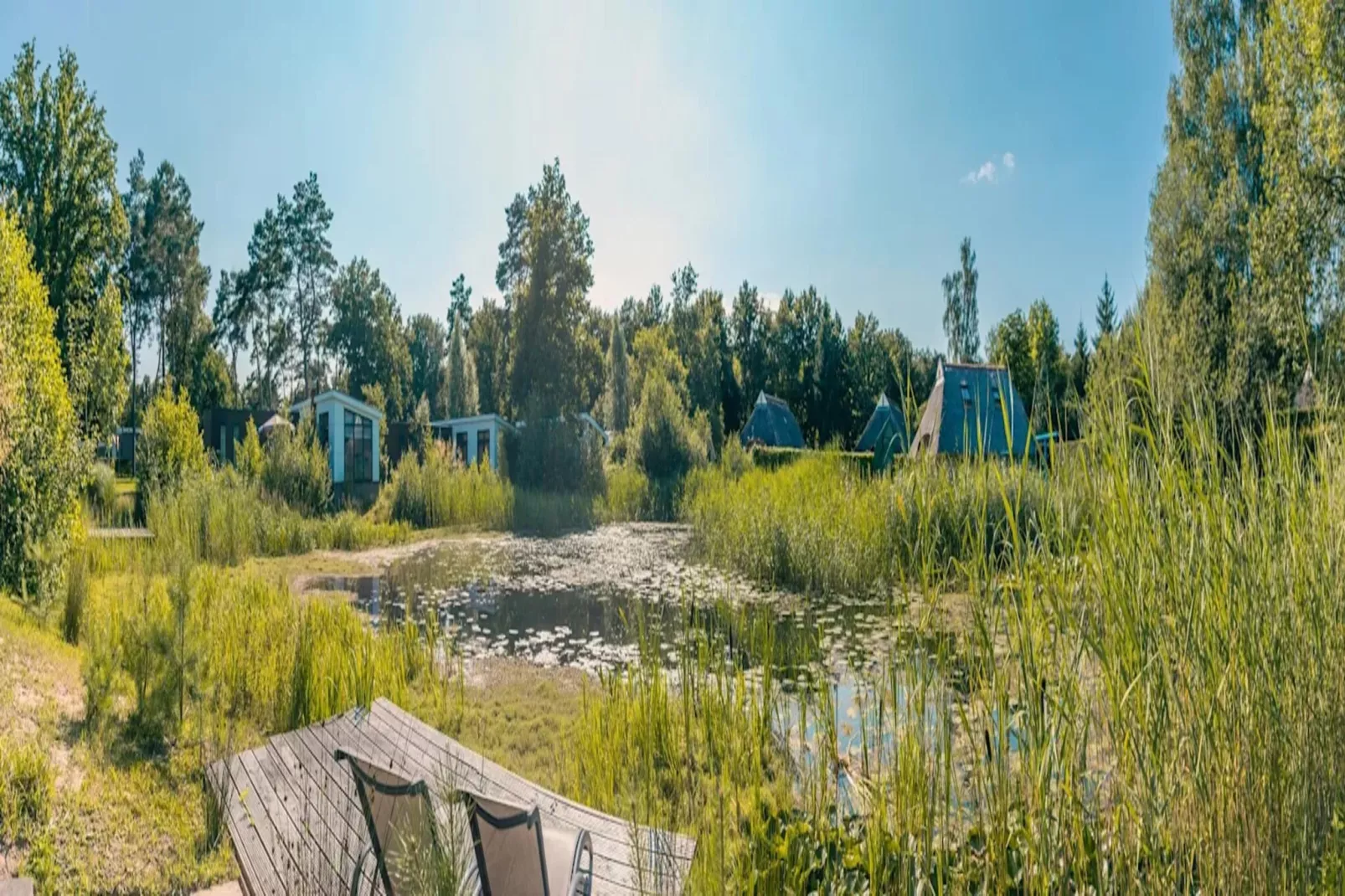 Resort Reestervallei 2-Park facilities