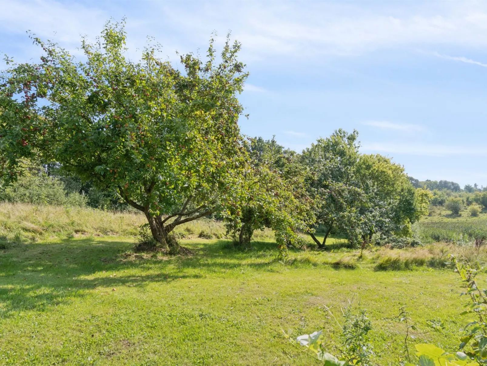 "Guthbrand" - 800m from the sea-Draußen