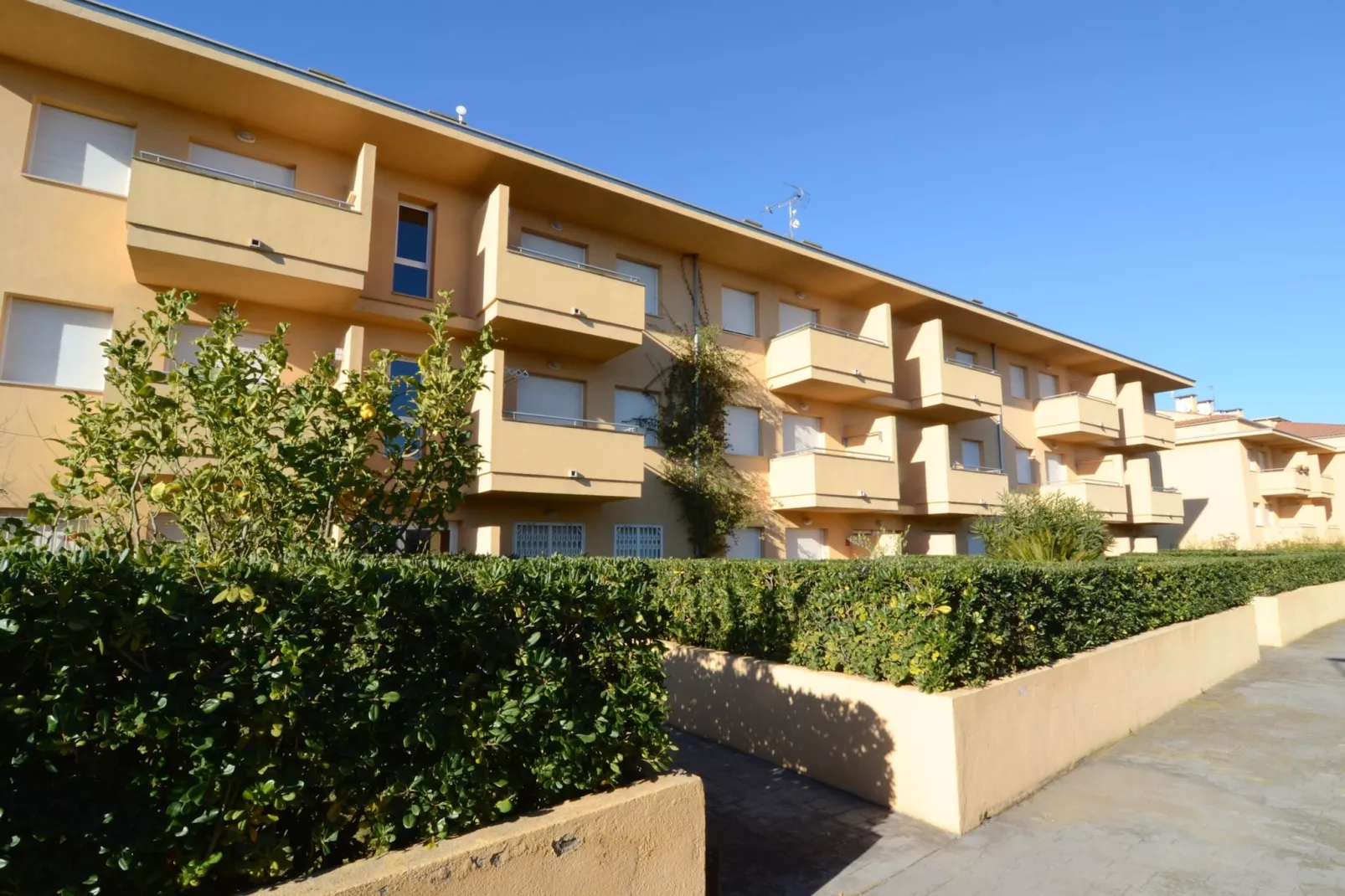 RIELLS BLAU C302-Outdoor