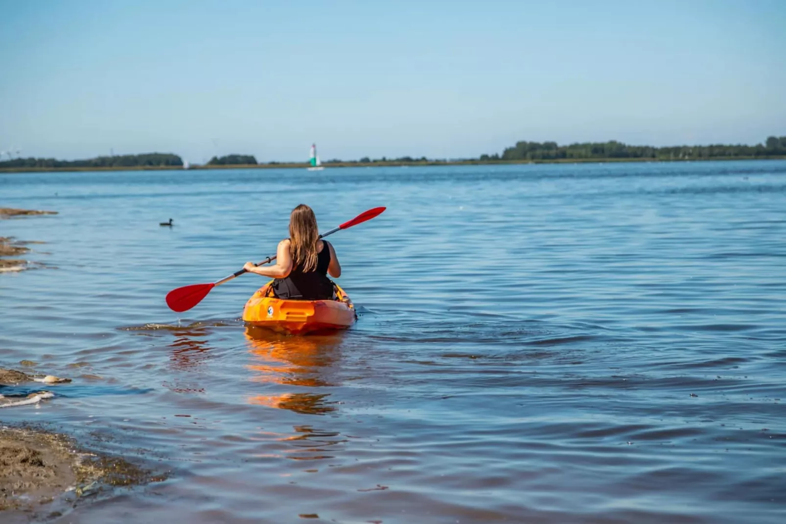 Resort Veluwemeer 1-Areas summer 5km