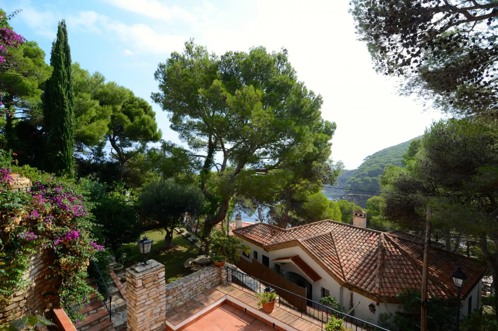 PIC DE L'OCELL-Aussicht Sommer
