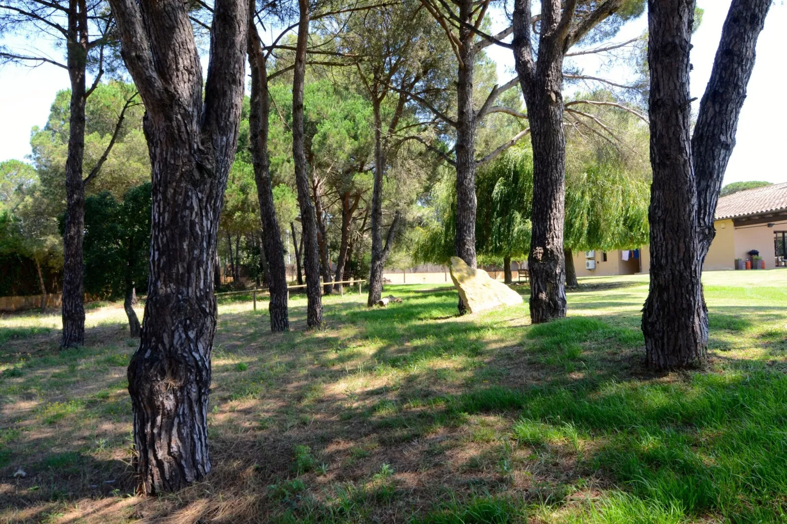 VILLA BRUGUERES BEGUR-Gardens summer
