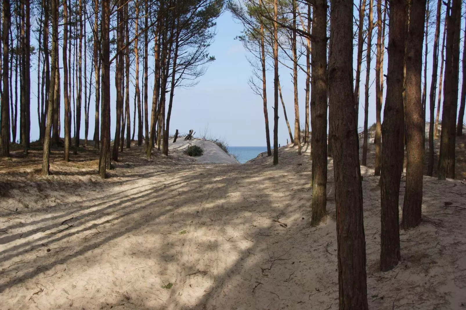 Domki wakacyjne dla 4 osób Mielenko-Areas summer 1km