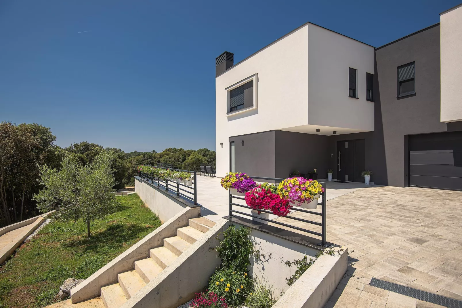 Cube Box House - Angelini-Exterior summer