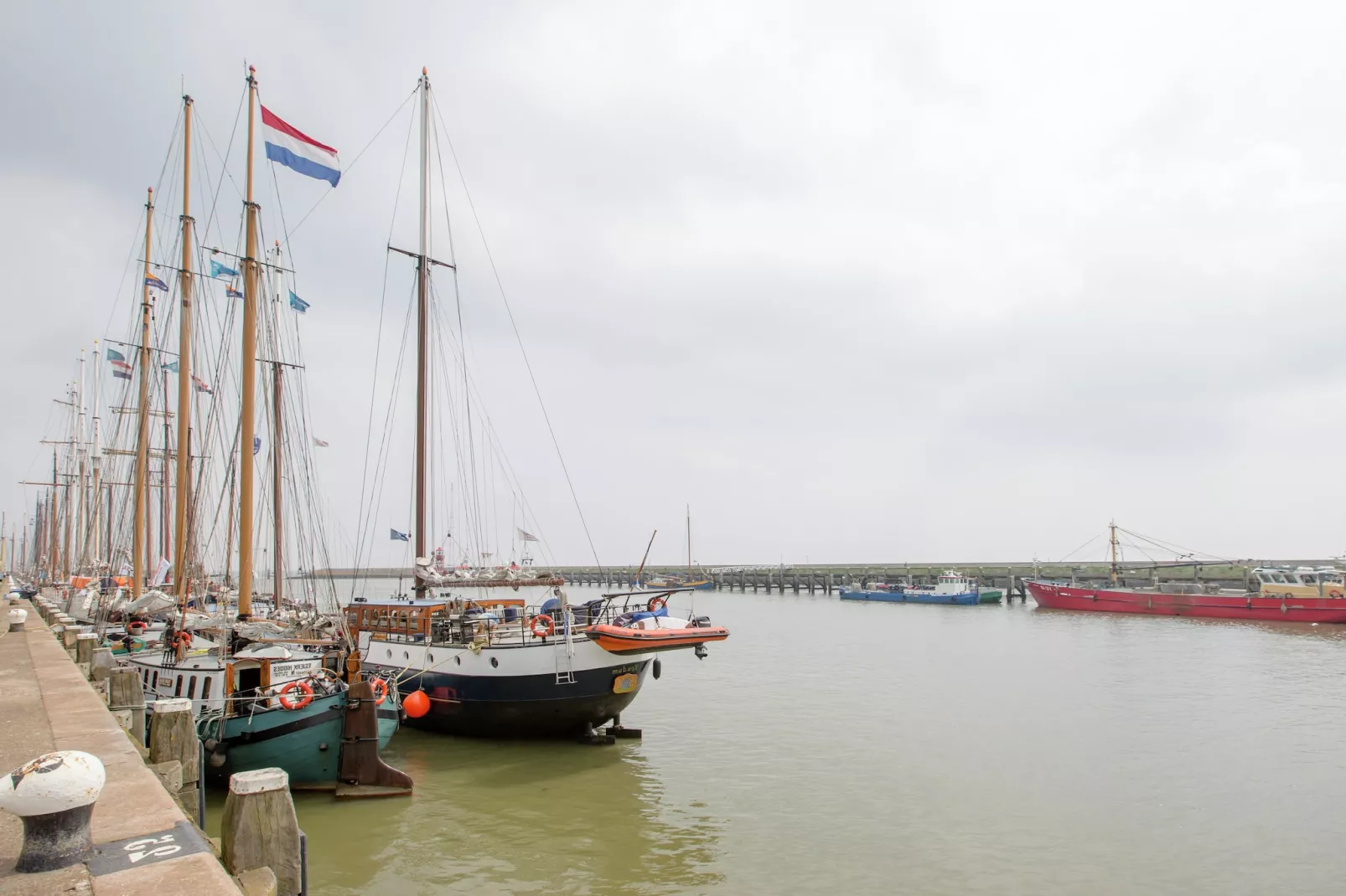Klavertje vier-Areas summer 5km