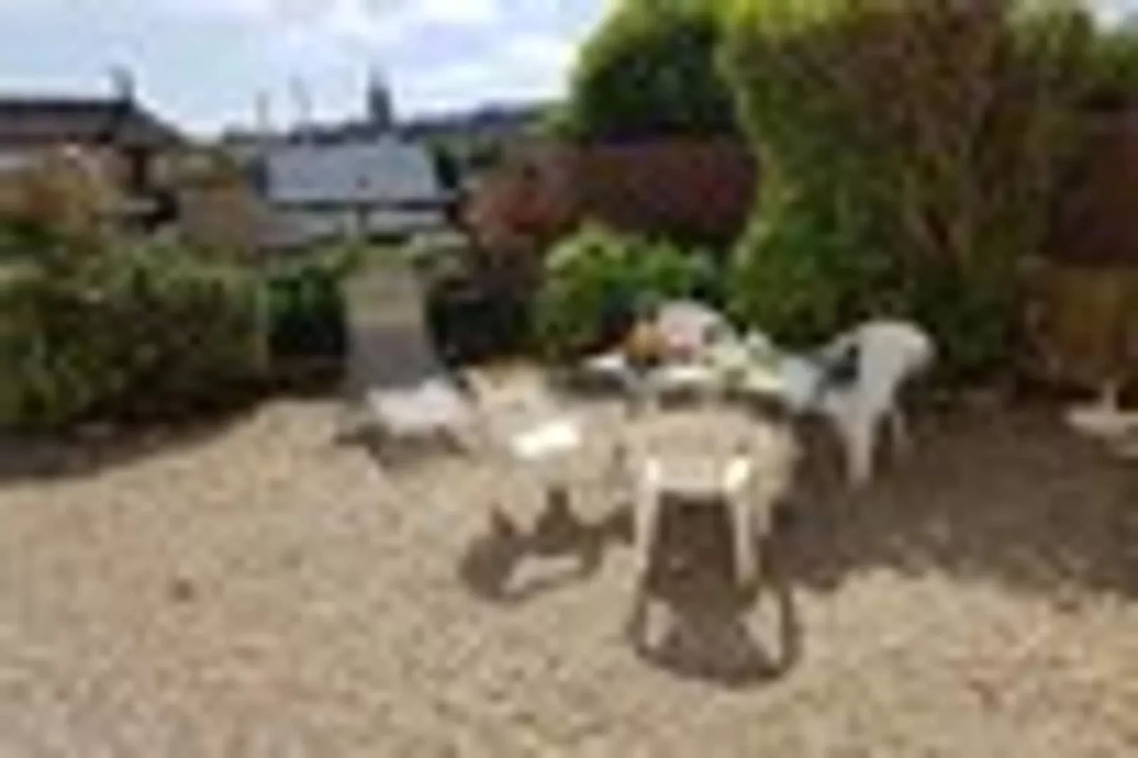 Holiday flat, Arromanches-les-Bains-SLOOP - app. au rez-de-chaussée-Gärten Sommer