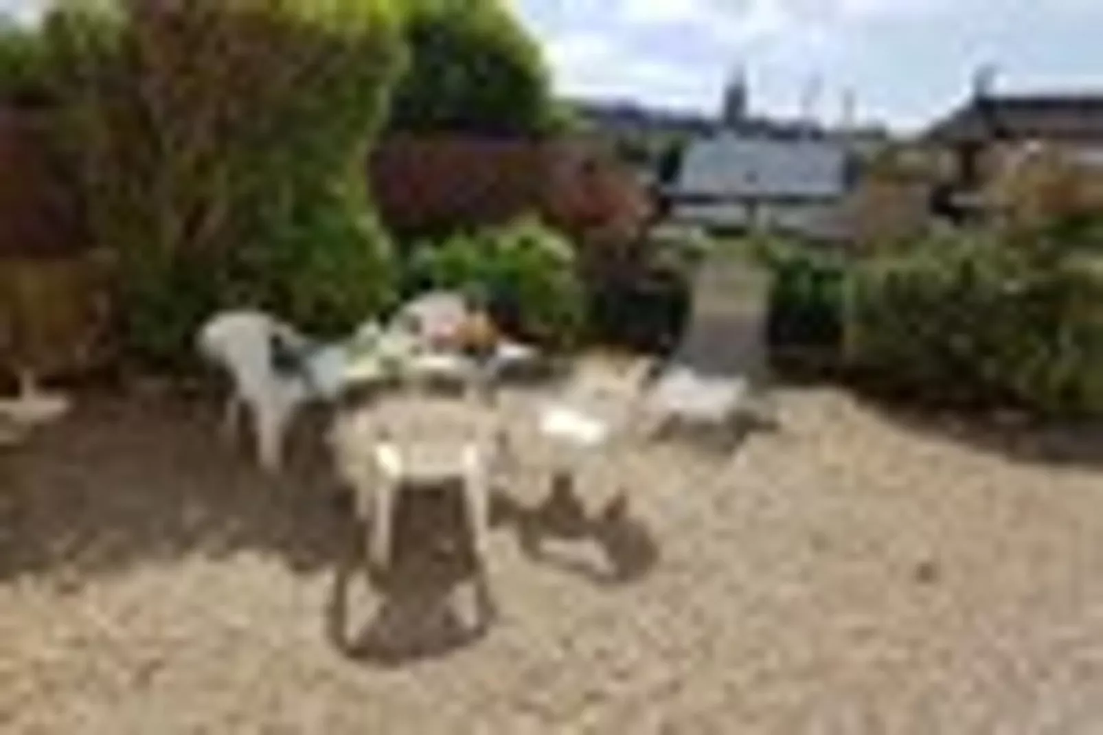 Holiday flat, Arromanches-les-Bains-SLOOP - app. au rez-de-chaussée-Gärten Sommer