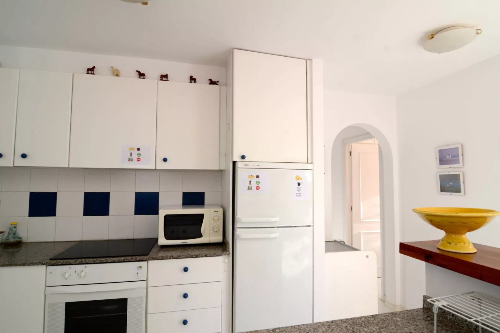 NAUTIC GOLF A 303-Kitchen
