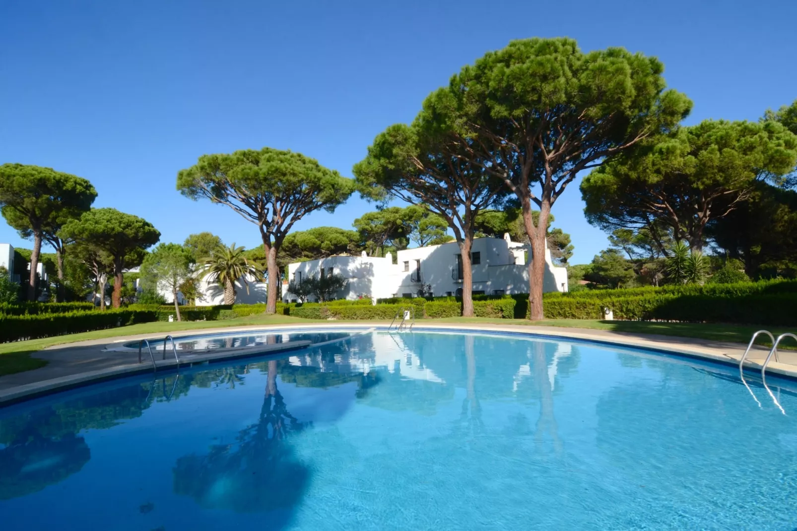 PIVERD DEL GOLF 56-Pool