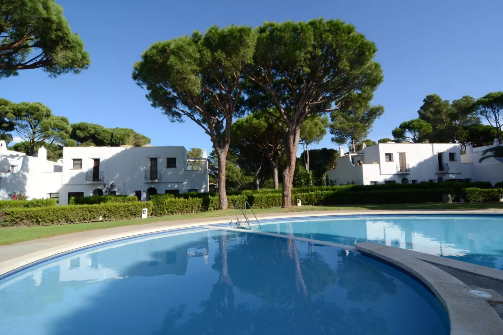 PIVERD DEL GOLF 56-Pool