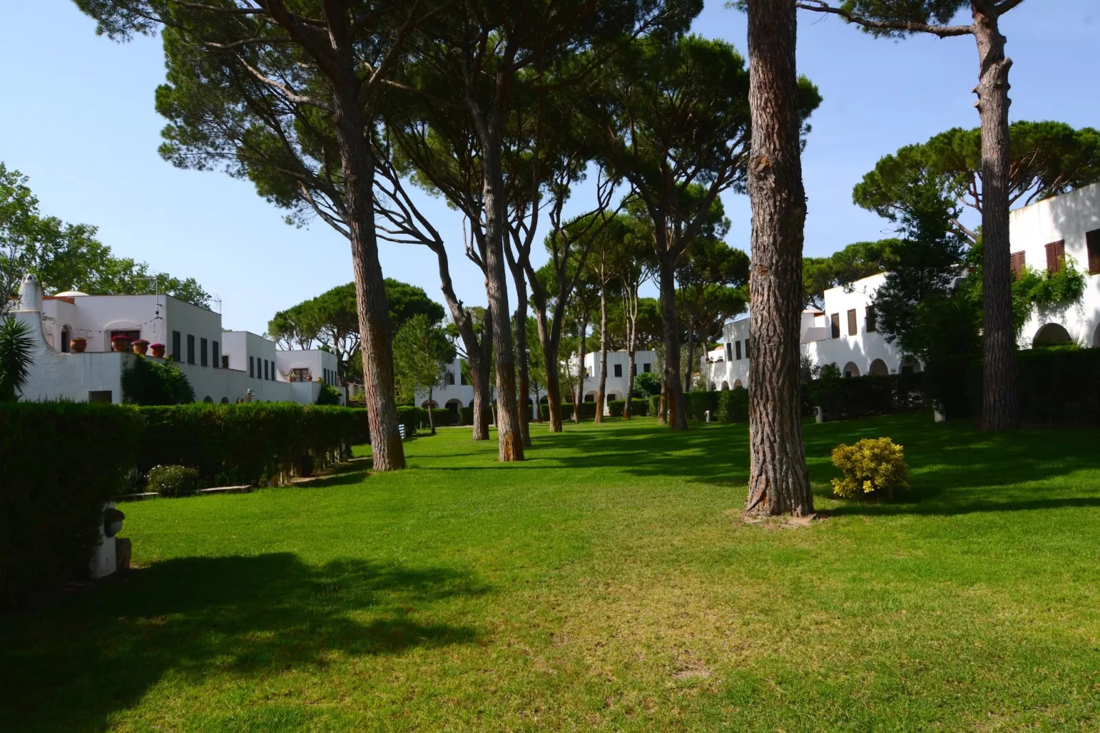 PIVERD DEL GOLF 56-Areas summer 5km