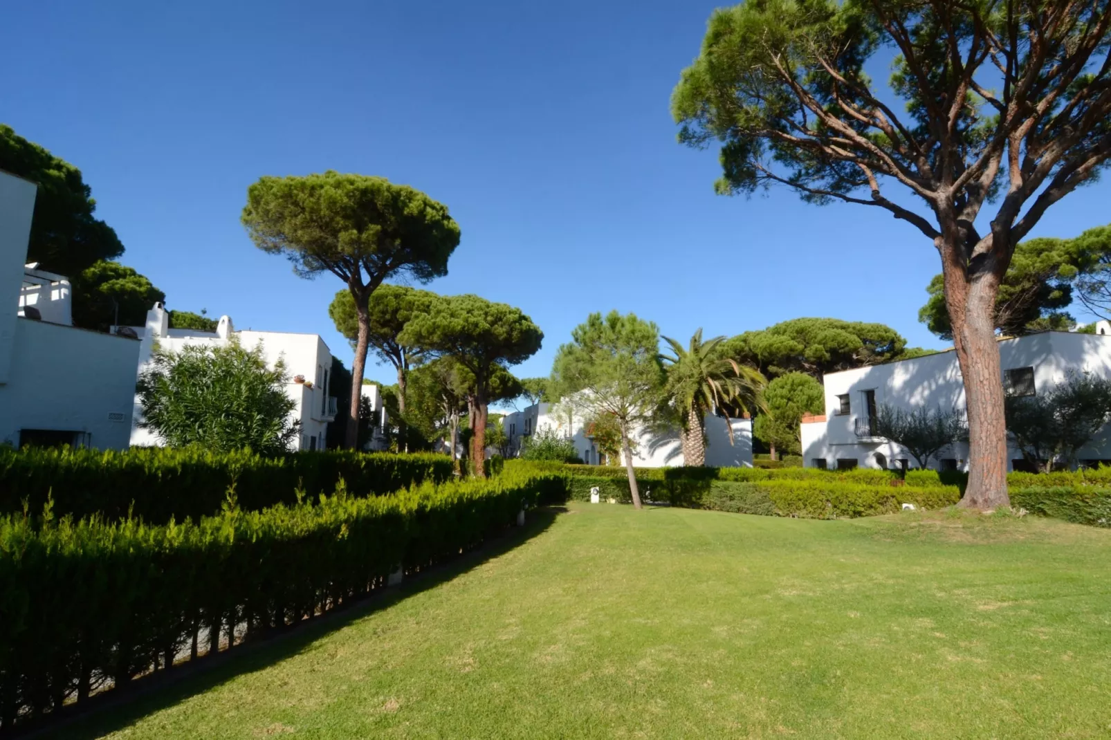 PIVERD DEL GOLF 56-Gardens summer