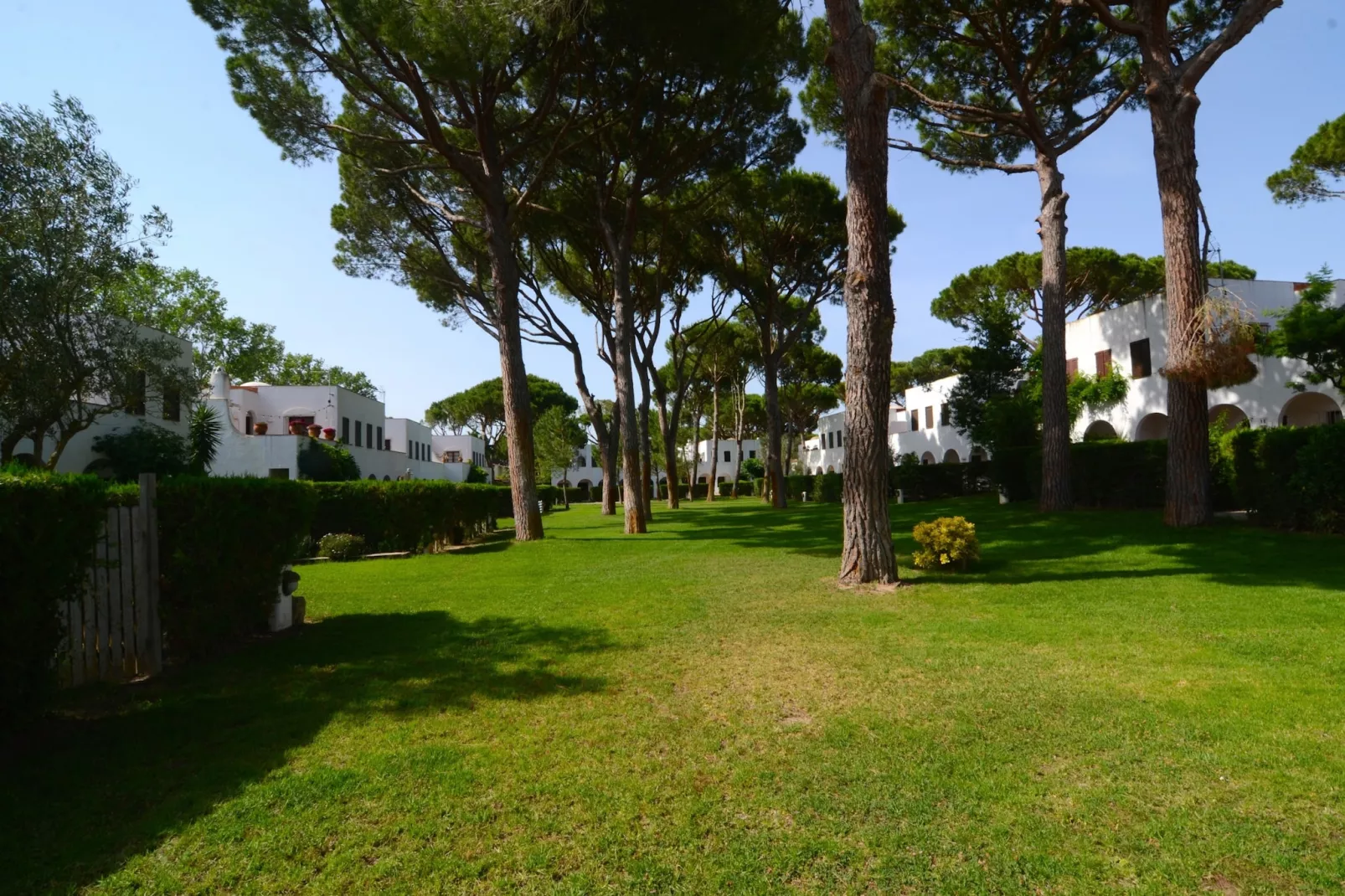 PIVERD DEL GOLF 56-Areas summer 20km