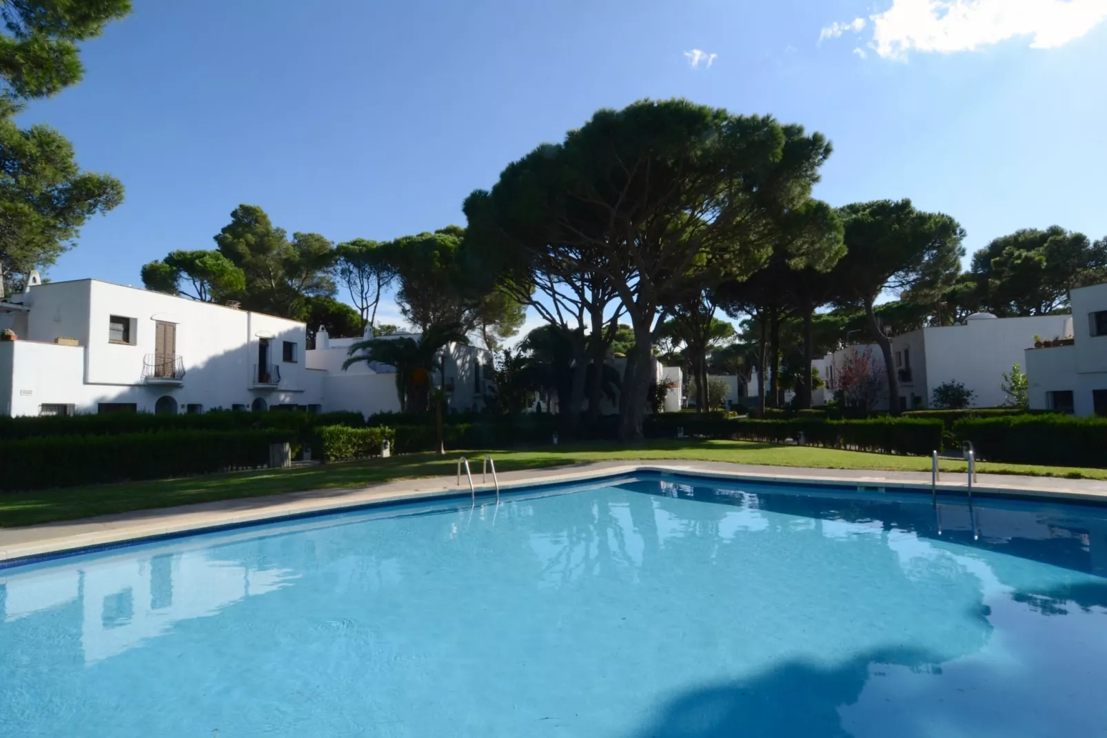 PIVERD DEL GOLF 22-Pool