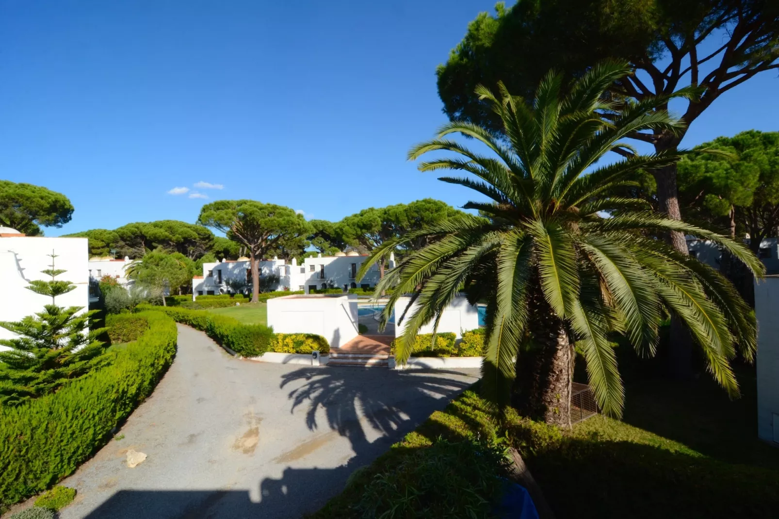 PIVERD DEL GOLF 22-Outdoor