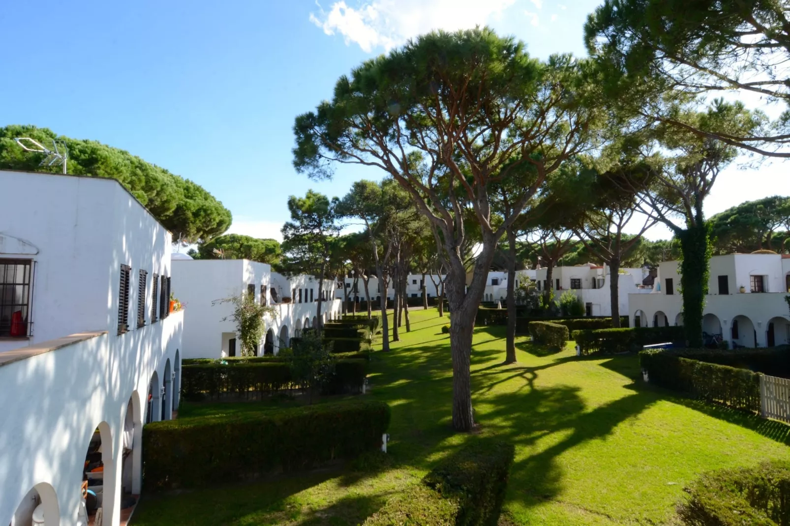 PIVERD DEL GOLF 22-Outdoor