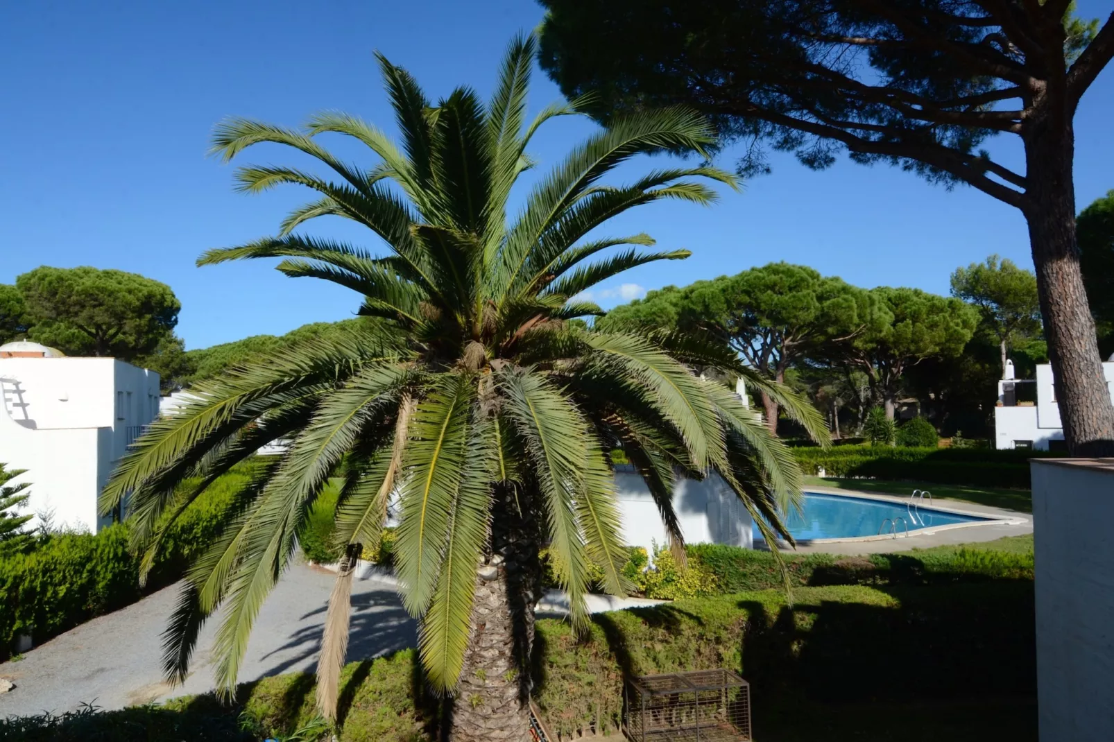 PIVERD DEL GOLF 22-Outdoor