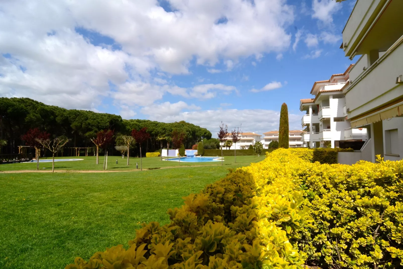 GREEN MAR F 102-View summer