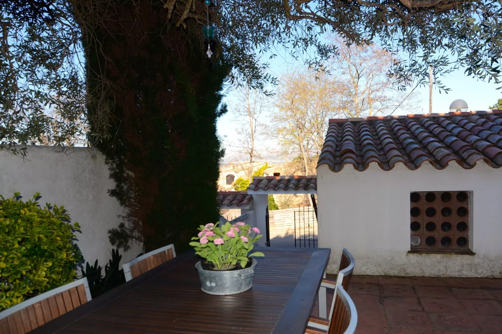 MAS D'EN GOU 3-Exterior summer