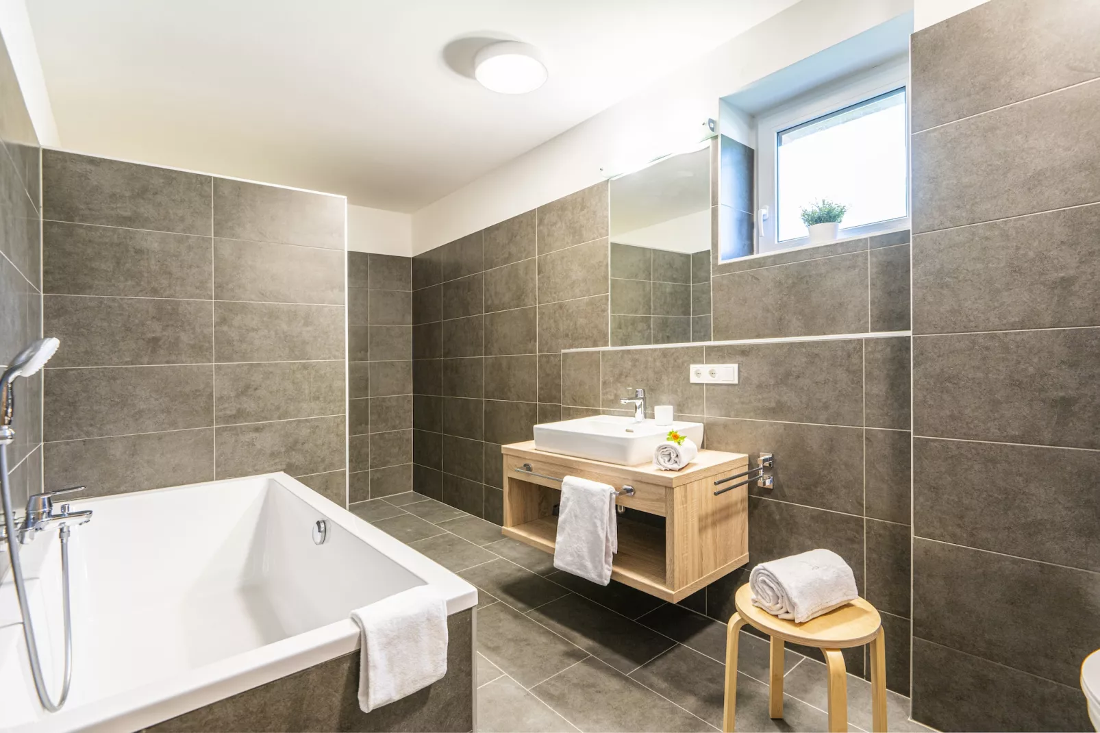 Superior Chalet-Bathroom