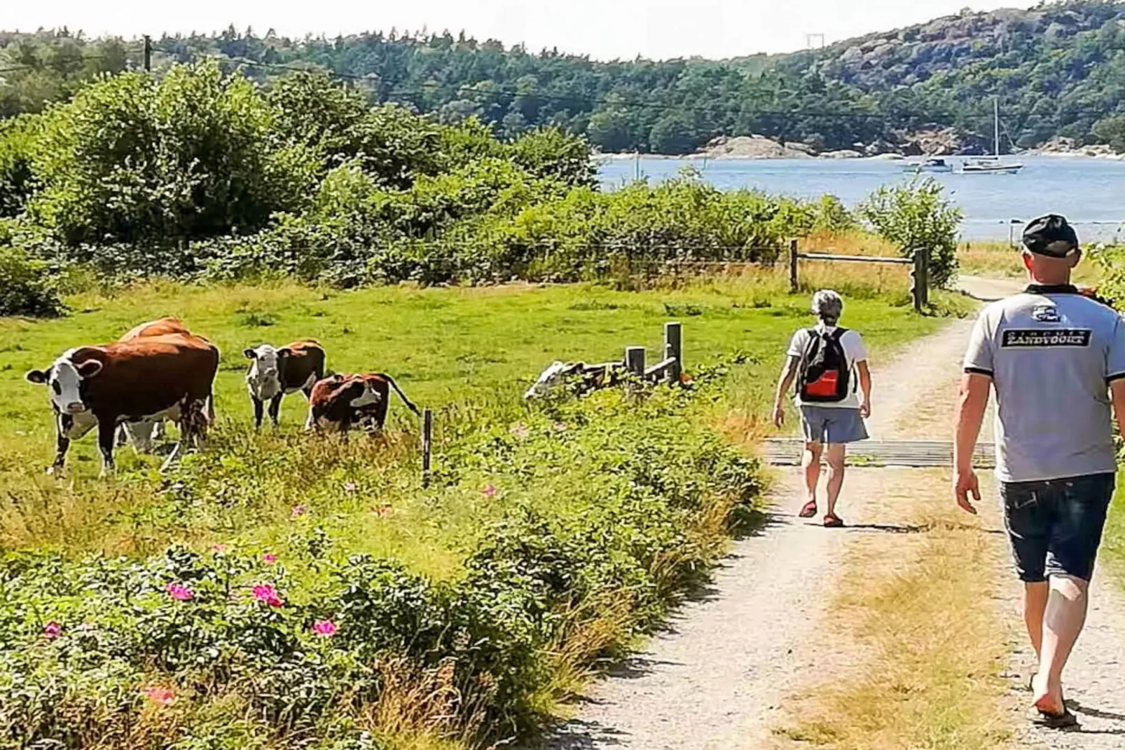 4 star holiday home in UDDEVALLA-Not tagged