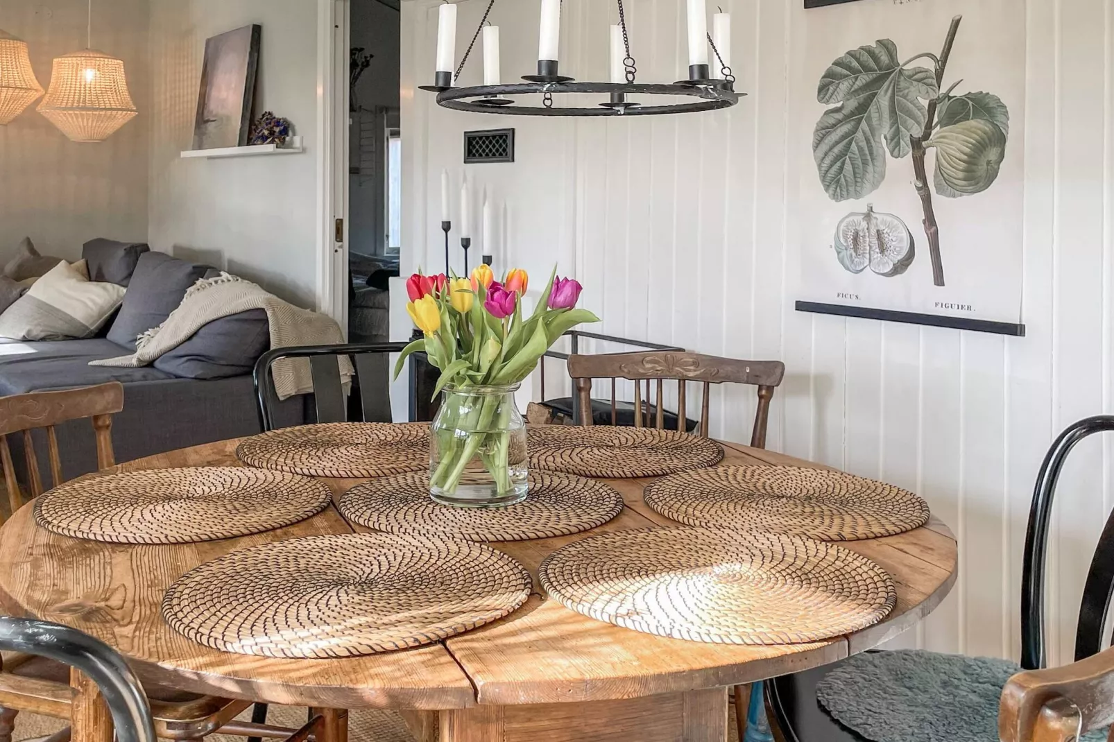 4 etoiles maison de vacances a SÖLVESBORG-Intérieur