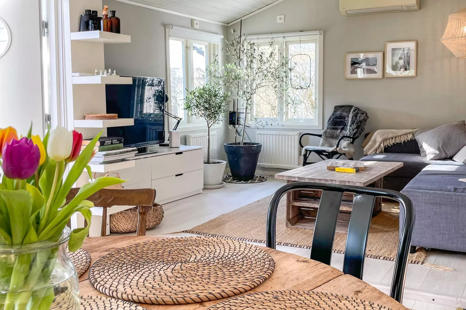 4 etoiles maison de vacances a SÖLVESBORG-Intérieur