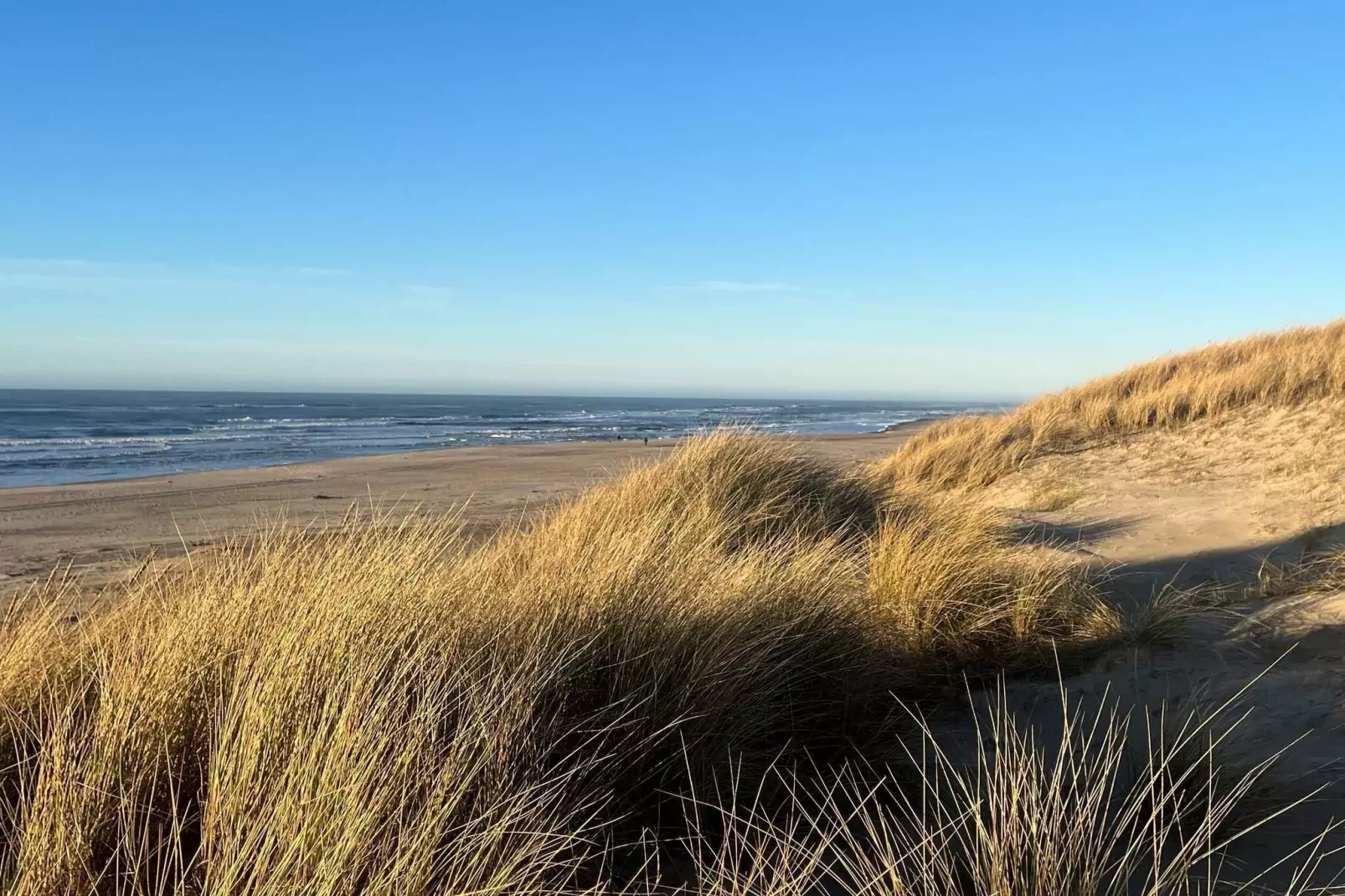 5 star holiday home in Ringkøbing-Water view
