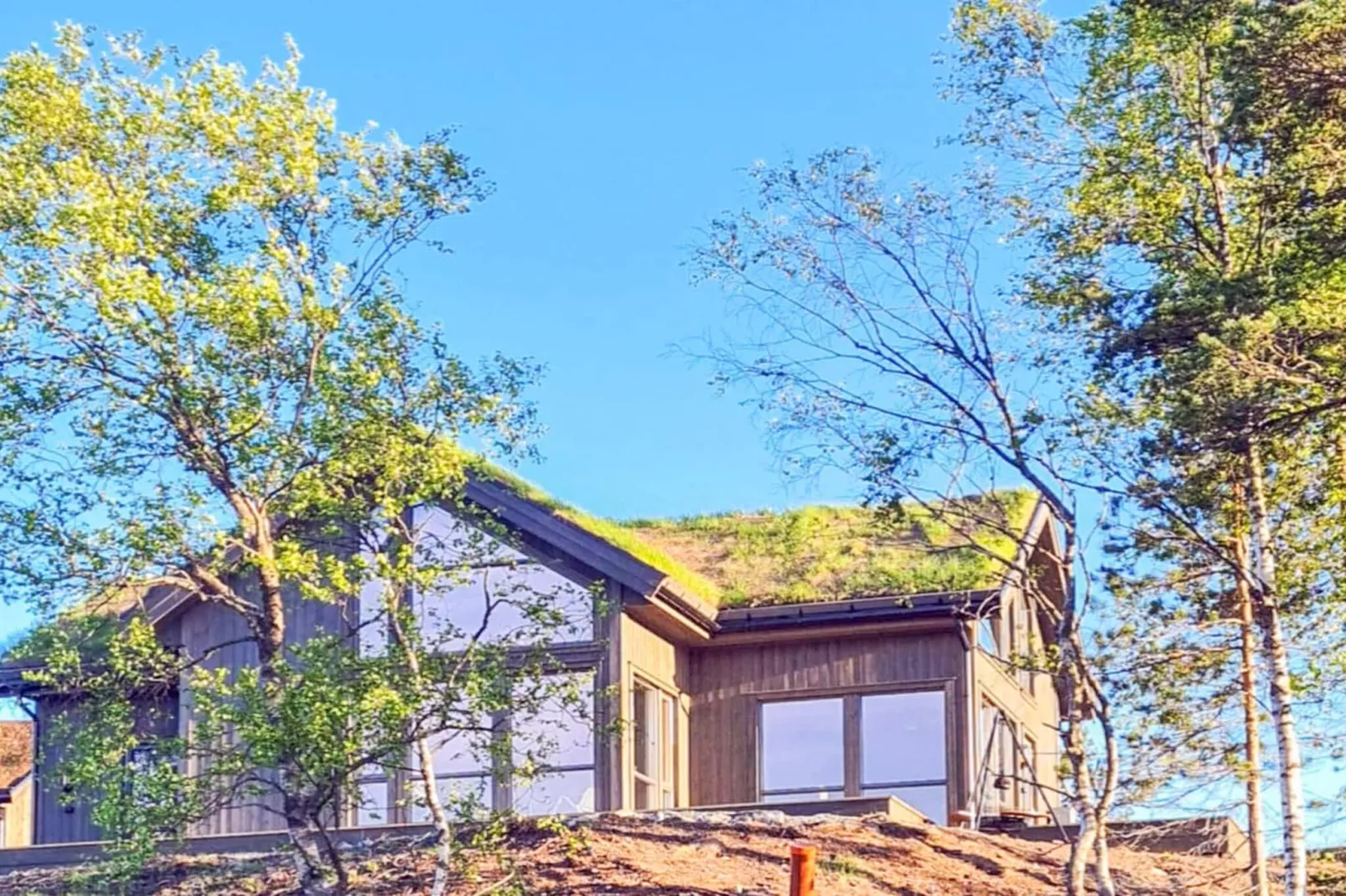 11 Personen vakantie huis in Hornnes - 10566221